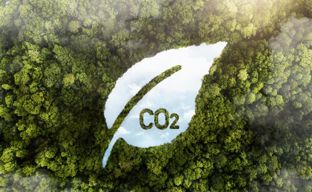 huelladecarbono